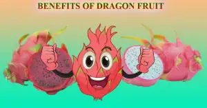 BENEFITS OF DRAGON FRUIT