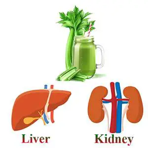 Celery Juice Improves liver and kidney health