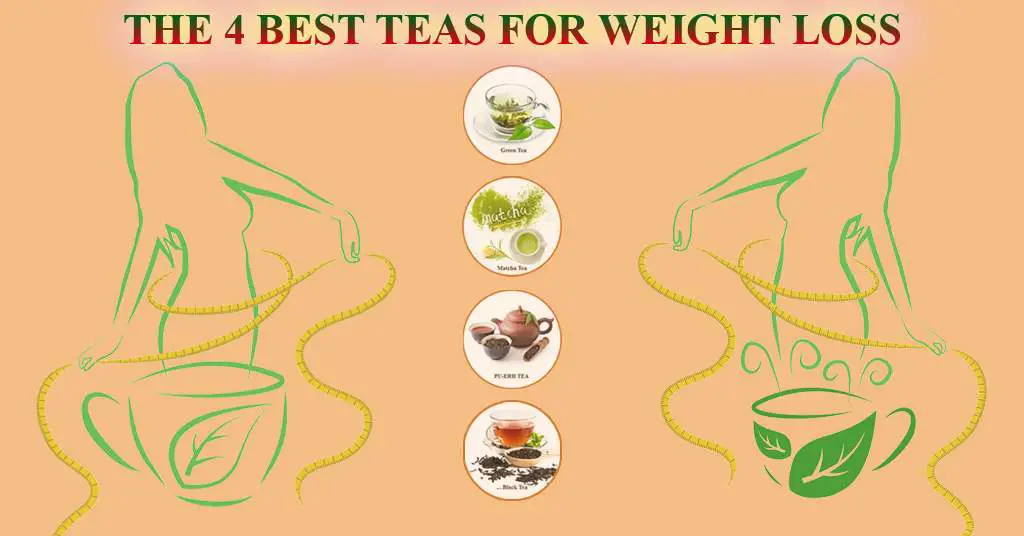 BEST TEAS FOR WEIGHT LOSS