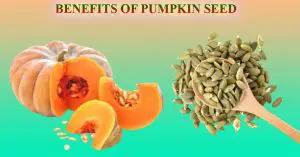 WHAT ARE THE BENEFITS OF PUMPKIN SEED
