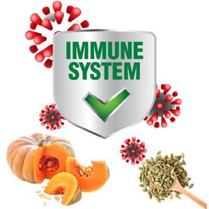 boost immunity with pumpkin seeds