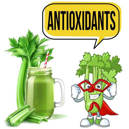 Celery Juice Contains Powerful Anti-Oxidants