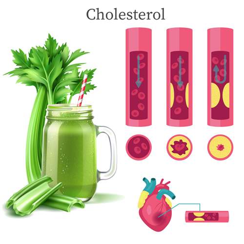 Celery Juice Lowers Cholesterol