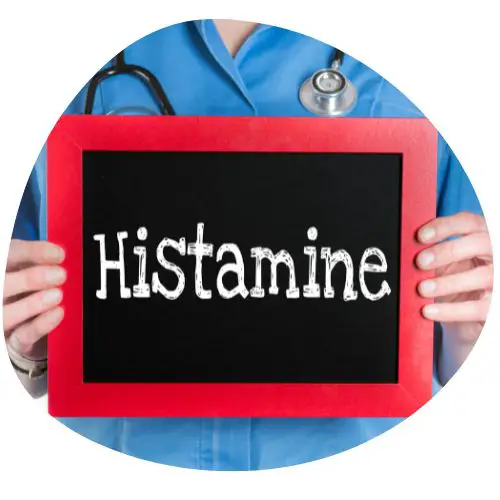 Avoid Foods High In Histamine for Headache